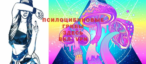 ECSTASY Инта